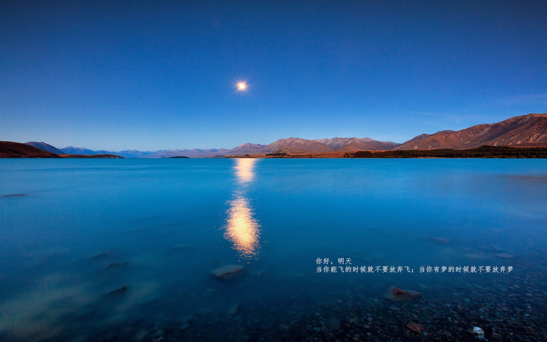 加维的红色风暴,当阿根廷血拼精神接管F1巴黎揭幕战