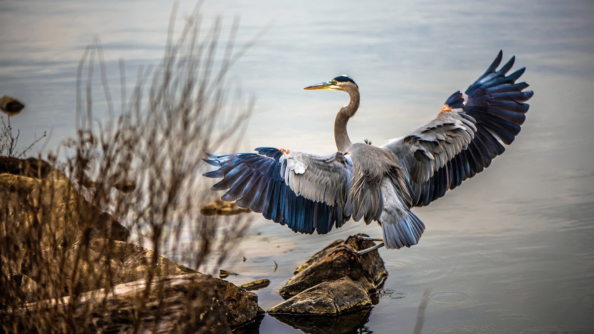 当神话照进现实,希腊的全面压制与阿拉巴的个人史诗