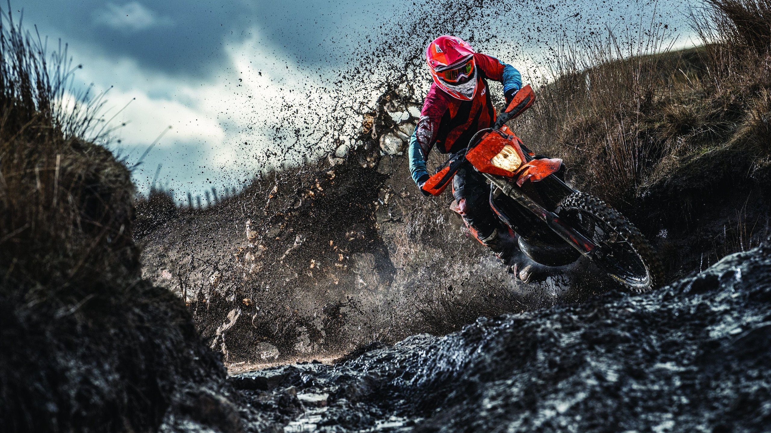 北欧风暴席卷绿茵，瑞典战术革新横扫加拿大，欧冠半决赛焦点战启示录